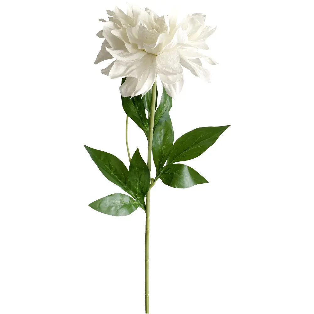 VARA FLOR DALI