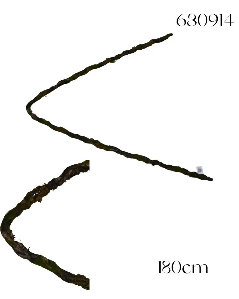 RAMA TORTUOSA 195CM