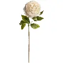 VARA Peonía 55CM