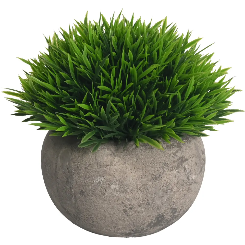 PLANTA CON MACETA