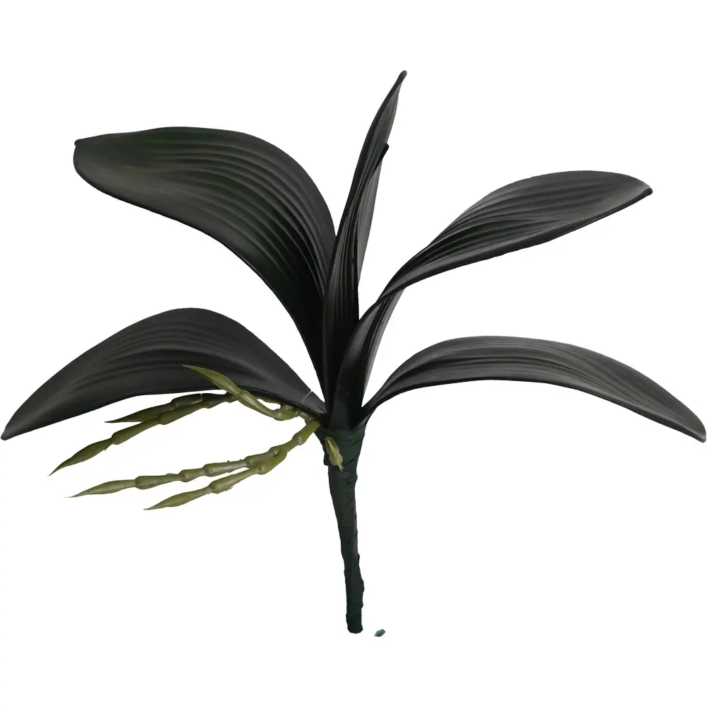 HOJA DE ORQUIDEA