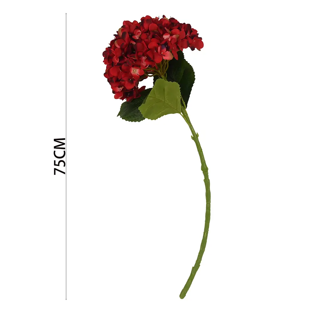 VARA HORTENSIA G