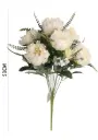 Chinese Peony bush X 13