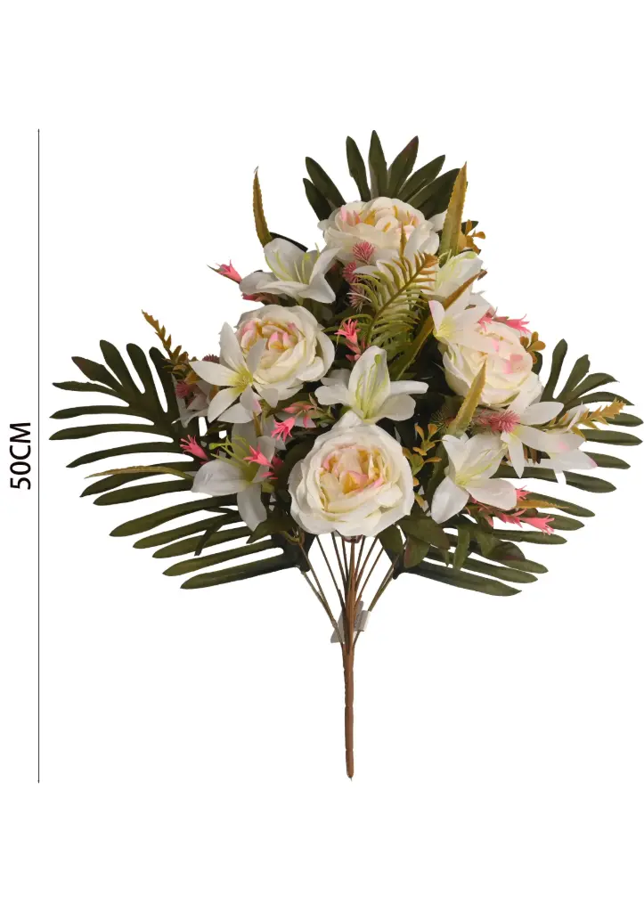 RAMO Camellia bush x 12