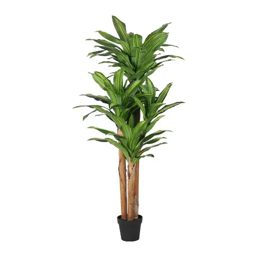 [631432] PLANTA ARTIFICIAL DRÁCENA 180cm