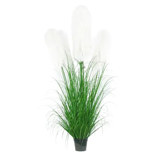 [631370] Pampa*7 en maceta 180cm 7头布芦苇