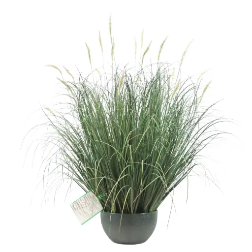 [631376] Graminada setaria artificial 70cm