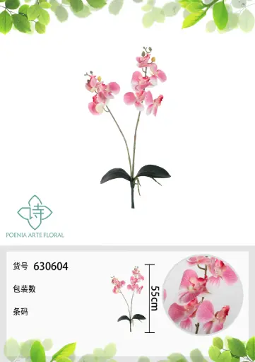 Vara orquideax2 con hoja 带叶2叉蝴蝶兰55Cm