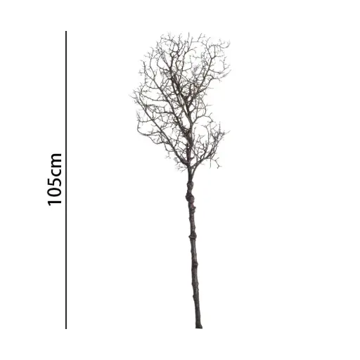 [631313] 95CM DEADWOOD SPRAY