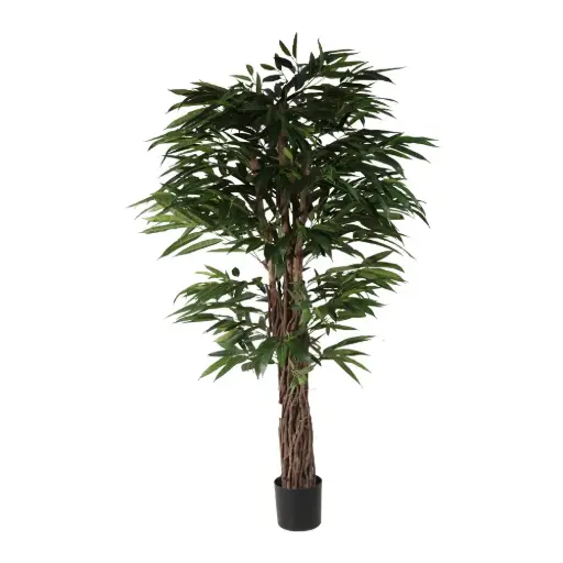 [631343] 180cm Longifolia tree con meceta