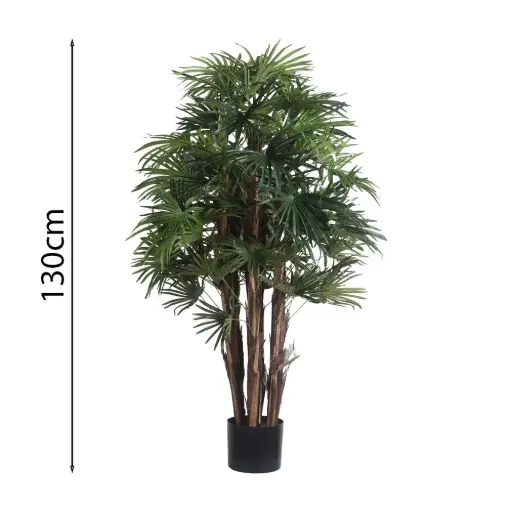 [631355] Raphis Palm Con Maceta 120cm