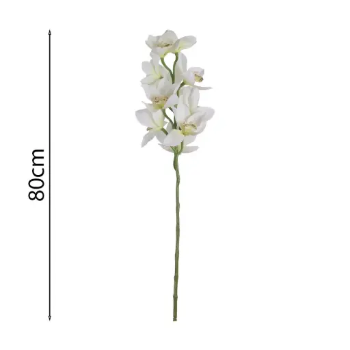 Vara de Orquídea Cymbidium Aromática 80cm