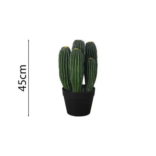 [631513] Cactus limón 45cm 龙凤柱五头 45cm高
