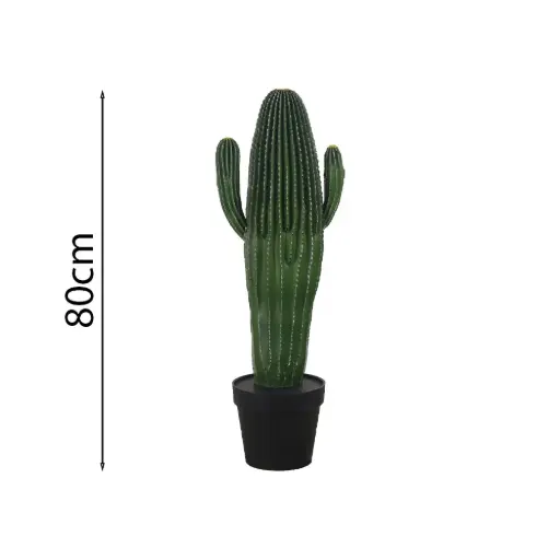 [631514] Cactus candelabro80cm 