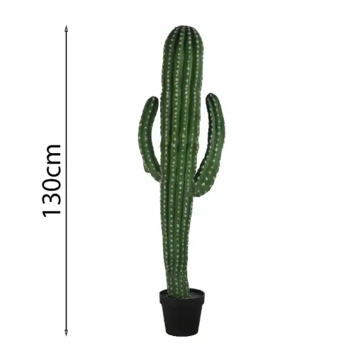 [631516] Cactus candelabro 130cm