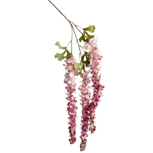 Vara Wisteria sinensis Lila 130cm