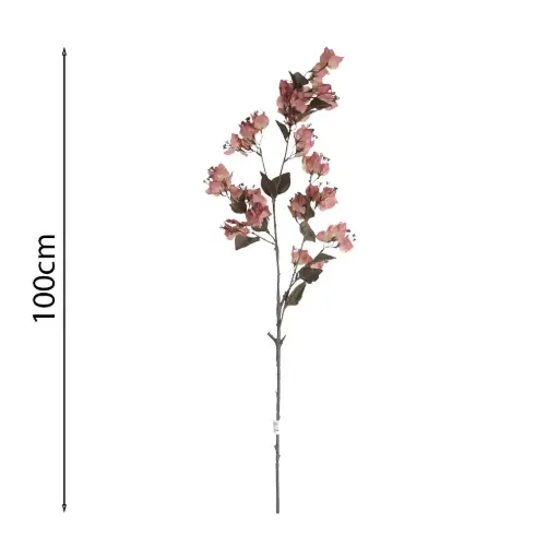 Vara de Buganvilla Colgante 100cm .1