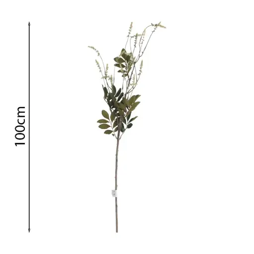 Vara de Acacia Silvestre 100cm .1