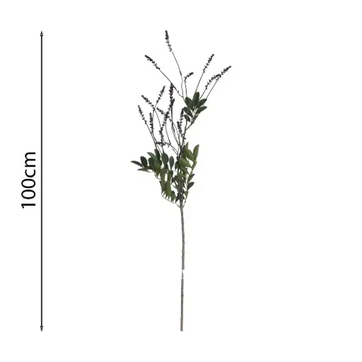 Vara de Acacia Silvestre 100cm .3