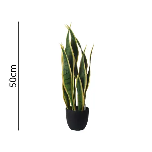 [631693] Planta Sansevieria 40cm