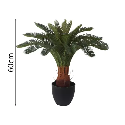 [631560] CYCA CON MACETA 60CM