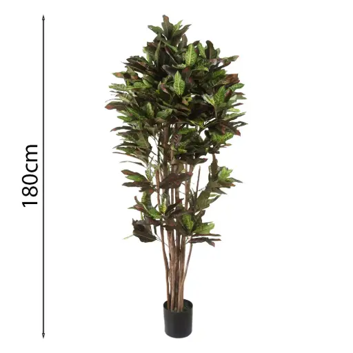 [631570] CROTON CON MACETA 180CM