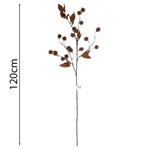 Vara de Frutos con Espinas 120cm