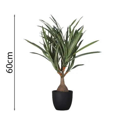 [631752] Beaucarnea artificial en maceta de 60 cm con 79 hojas