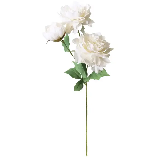 VARA 3*PEONIA