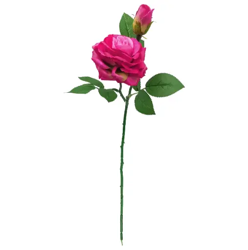 VARA 2*ROSA