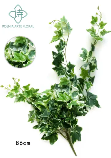 [630513] COLGANTE 32"Holland Ivy Leaf Bush 11w/122Lvs