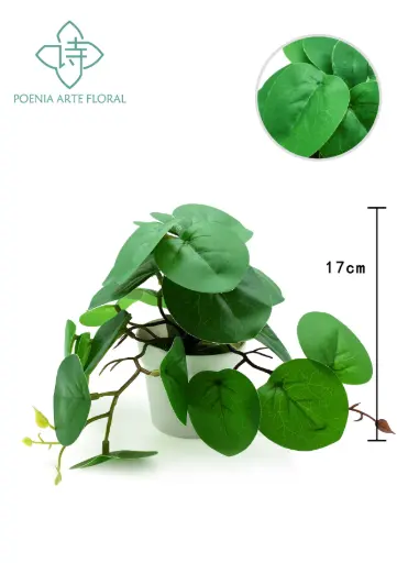 [630517] PLANTA 10*10" HOJA BUSH X23LVS