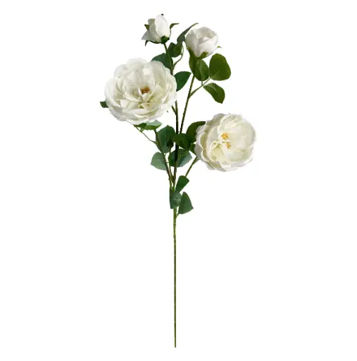 VARA ROSA*4