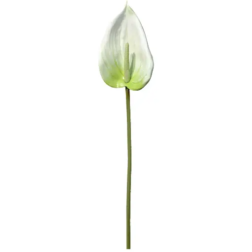 VARA ANTURIO ARTIFICIAL 85CM