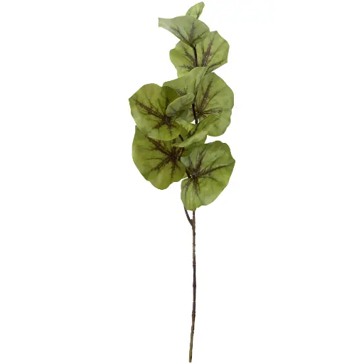 VARA HOJA DE LOTO 70CM