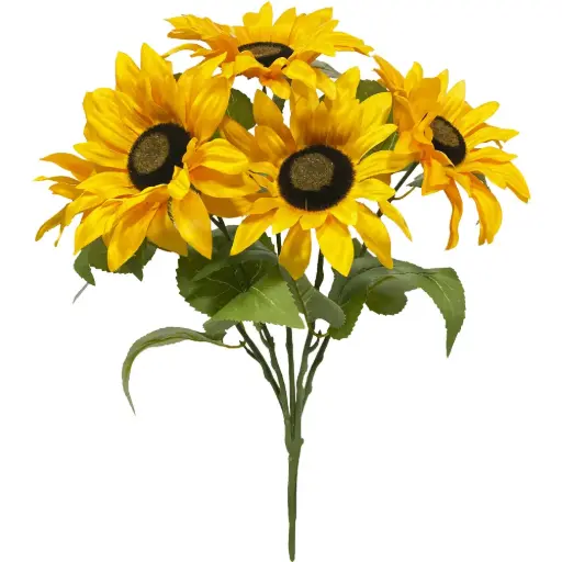 [630797] Ramo GIRASOL X7W