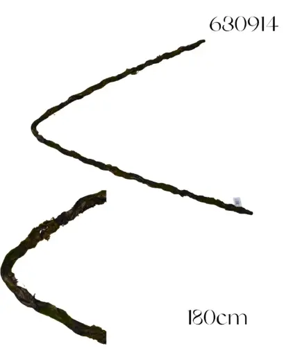 [630914] RAMA TORTUOSA 195CM