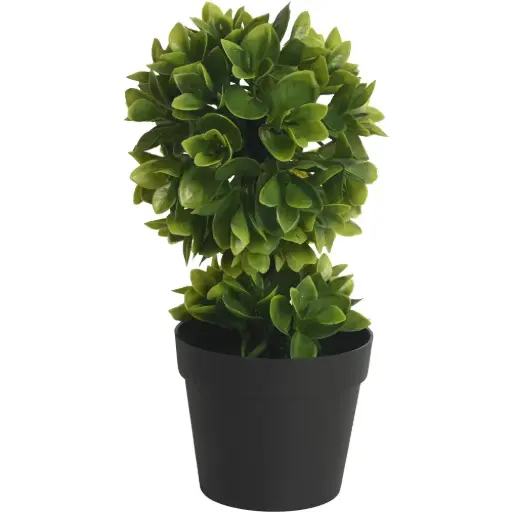 [630580] PLANTA CON MACETA
