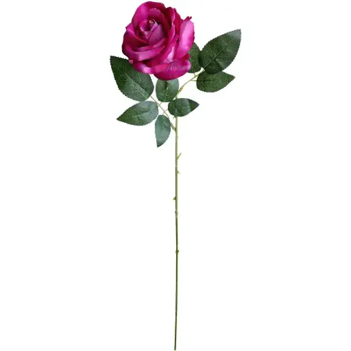VARA ROSA