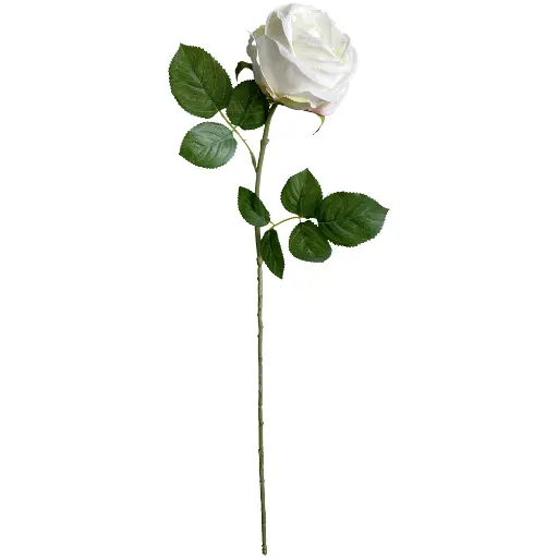 VARA ROSA*1