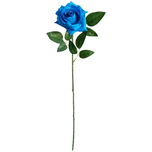 VARA ROSA*1