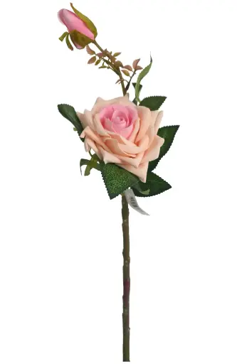 ROSA*2 TALLO CORTA