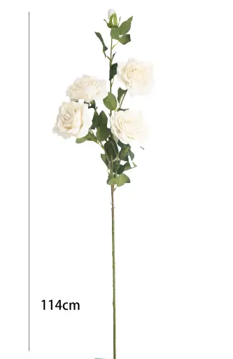 VARA ROSA*5 104CM