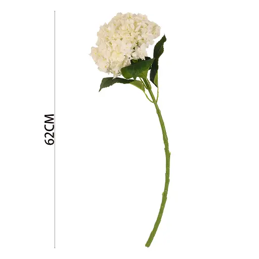 VARA HORTENSIA G