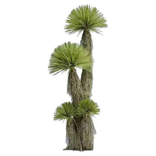 [631217] Yucca rostrata ARTIFICIAL 300cm
