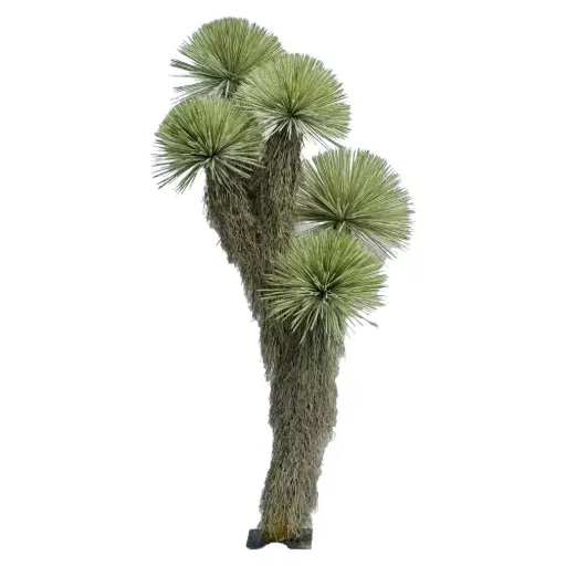 [631218] Yucca rostrata ARTIFICIAL 320CM