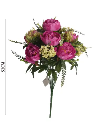 Peony bush X 13