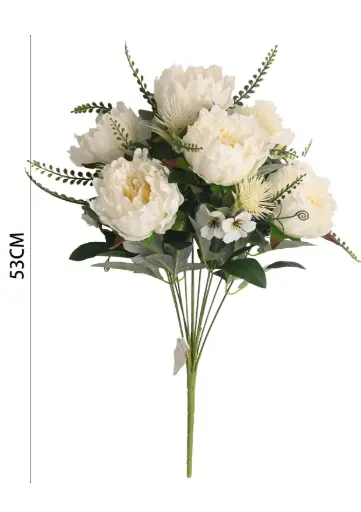 Chinese Peony bush X 13