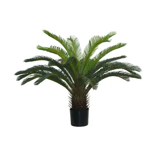 [631268] Planta de Cyca 80CM