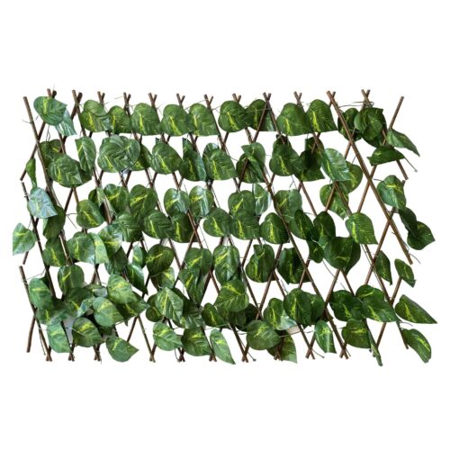 Closia con hojas artificial entensible H70cm